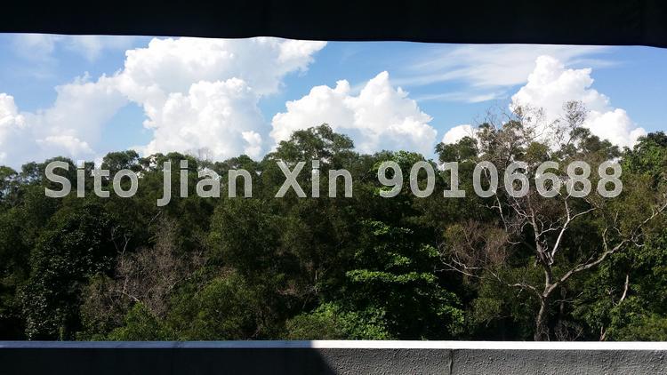 Bleu @ East Coast (D16), Condominium #61977462